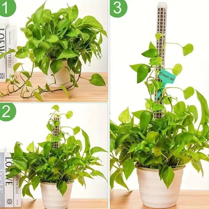 1/2/3 szt. Samonawadniająca si – Tree Stand Ladder recenzja i cena